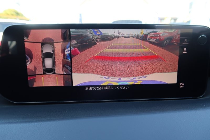 上から見たようなモニターで駐車をアシスト