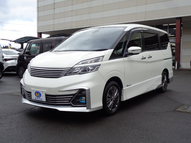 ライダー　プロパイロットエディション　8人乗り