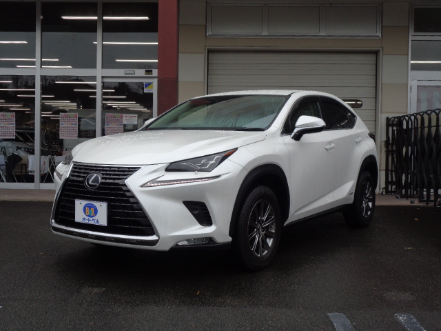 Ｉパッケージ　ハイブリッド