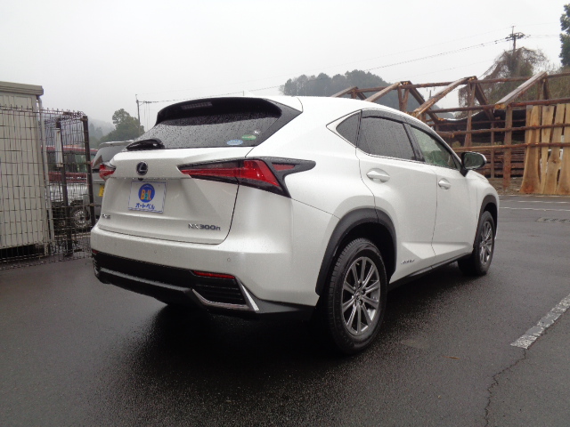 パワーバックドア　クリアランスソナー