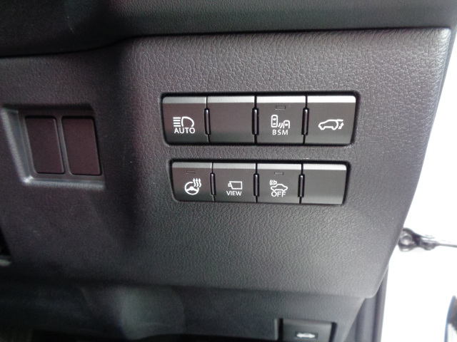 ブラインドスポットモニター　パワーバックドア　ステアリングヒーター