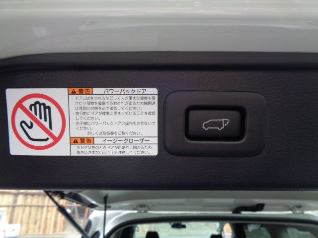 パワーバックドアスイッチ          Y